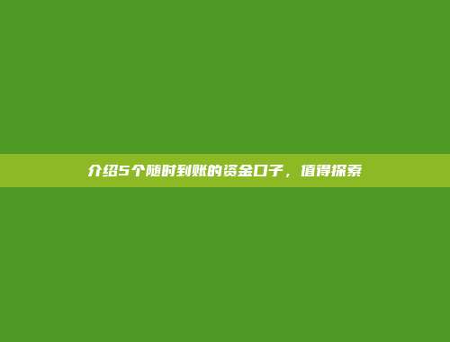 介绍5个随时到账的资金口子，值得探索