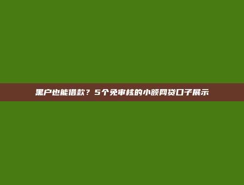 黑户也能借款？5个免审核的小额网贷口子展示