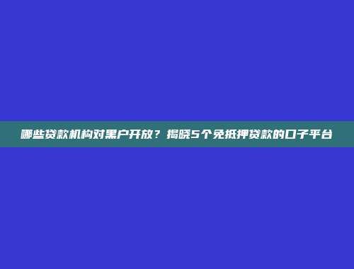 哪些贷款机构对黑户开放？揭晓5个免抵押贷款的口子平台