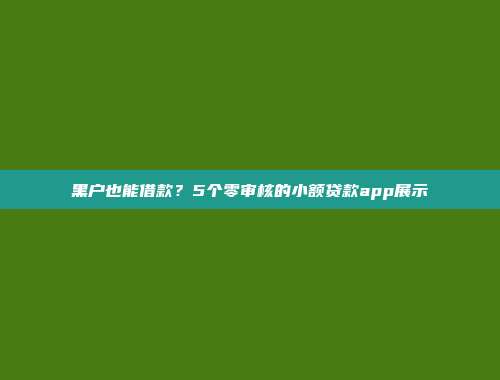 黑户也能借款？5个零审核的小额贷款app展示