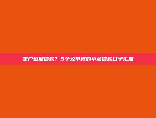 黑户也能借款？5个免审核的小额借款口子汇总