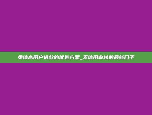 负债高用户借款的优选方案_无信用审核的最新口子