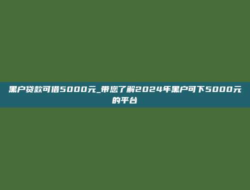 黑户贷款可借5000元_带您了解2024年黑户可下5000元的平台