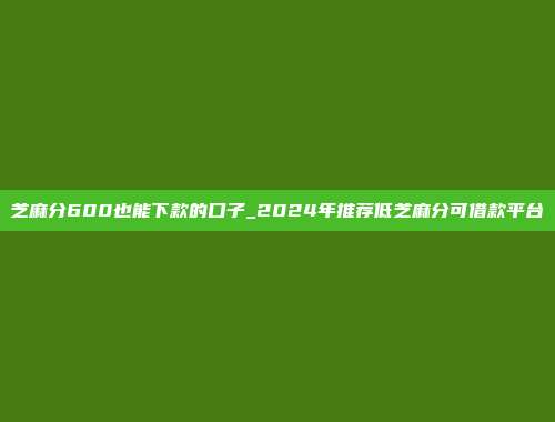 芝麻分600也能下款的口子_2024年推荐低芝麻分可借款平台