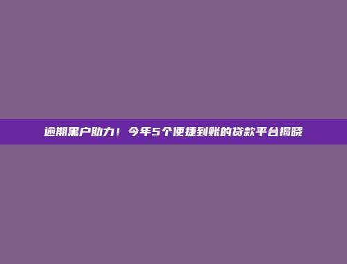 逾期黑户助力！今年5个便捷到账的贷款平台揭晓