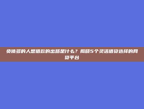 负债多的人想借款的出路是什么？揭晓5个灵活借贷选择的网贷平台