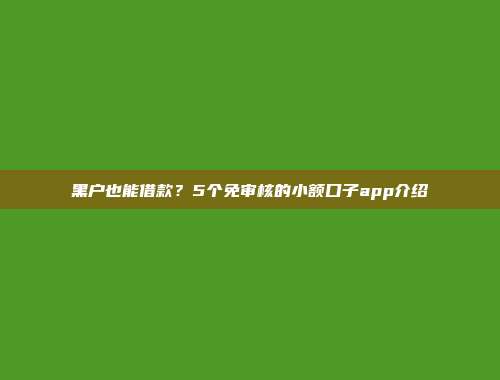 黑户也能借款？5个免审核的小额口子app介绍