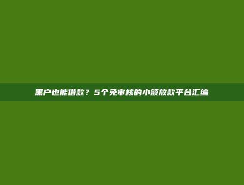 黑户也能借款？5个免审核的小额放款平台汇编