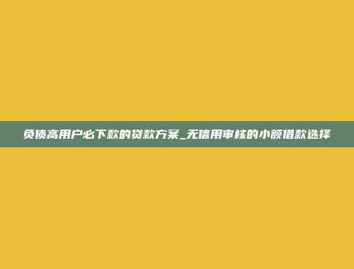 负债高用户必下款的贷款方案_无信用审核的小额借款选择