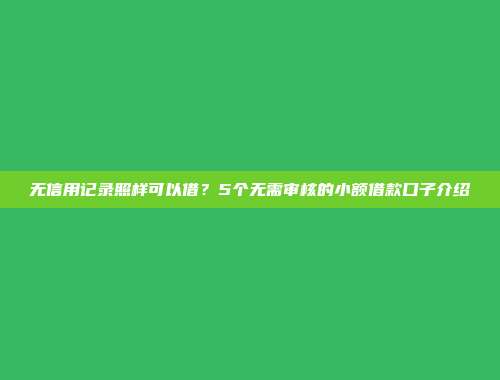 无信用记录照样可以借？5个无需审核的小额借款口子介绍