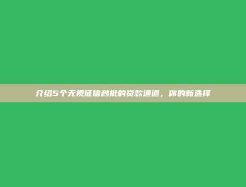 介绍5个无视征信秒批的贷款通道，你的新选择