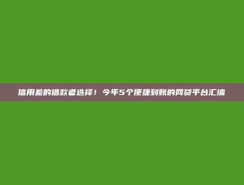 信用差的借款者选择！今年5个便捷到账的网贷平台汇编