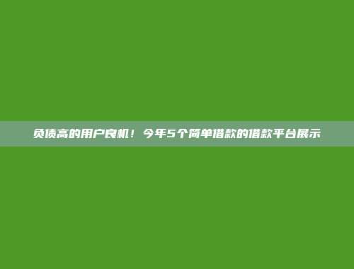 负债高的用户良机！今年5个简单借款的借款平台展示