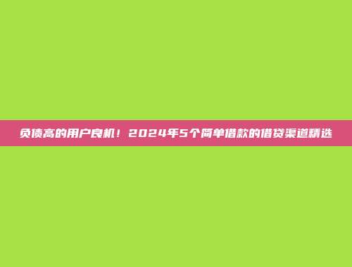 负债高的用户良机！2024年5个简单借款的借贷渠道精选