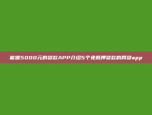 能借5000元的贷款APP介绍5个免抵押贷款的网贷app