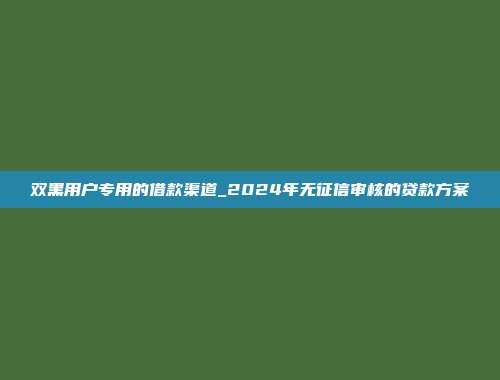 双黑用户专用的借款渠道_2024年无征信审核的贷款方案