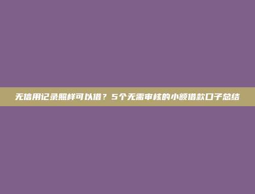 无信用记录照样可以借？5个无需审核的小额借款口子总结