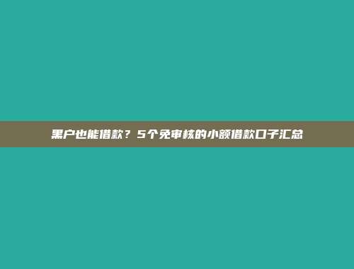 黑户也能借款？5个免审核的小额借款口子汇总