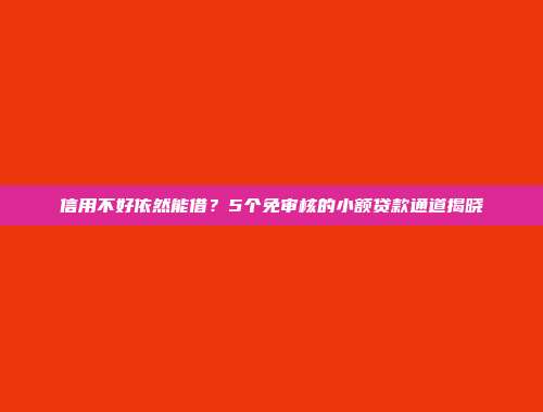 信用不好依然能借？5个免审核的小额贷款通道揭晓