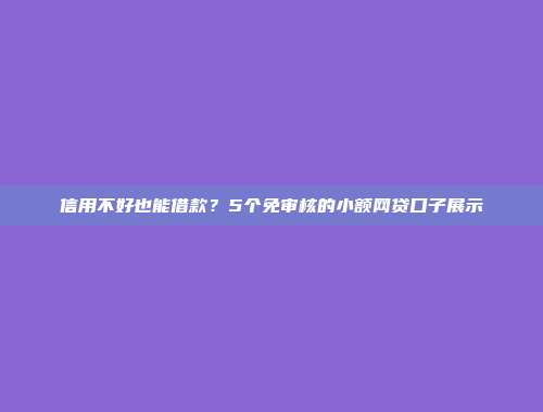 信用不好也能借款？5个免审核的小额网贷口子展示