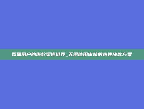 双黑用户的借款渠道推荐_无需信用审核的快速放款方案