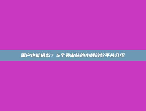 黑户也能借款？5个免审核的小额放款平台介绍