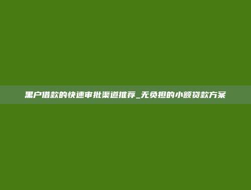 黑户借款的快速审批渠道推荐_无负担的小额贷款方案