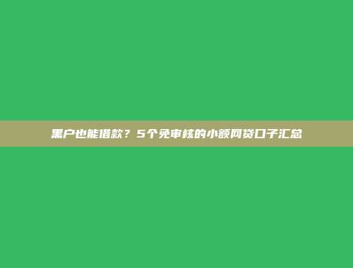 黑户也能借款？5个免审核的小额网贷口子汇总