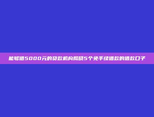 能够借5000元的贷款机构揭晓5个免手续借款的借款口子