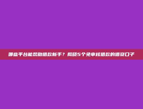 哪些平台能帮助借款新手？揭晓5个免审核借款的借贷口子