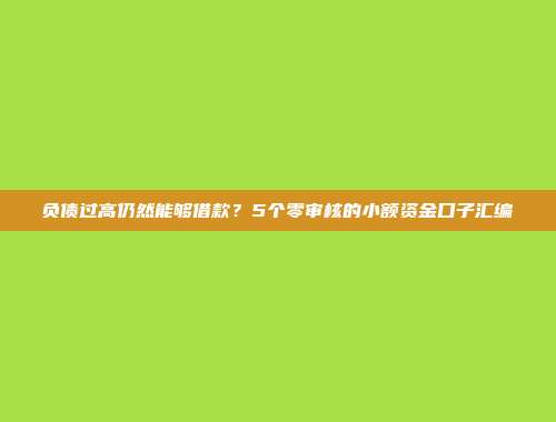 负债过高仍然能够借款？5个零审核的小额资金口子汇编