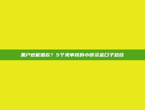 黑户也能借款？5个免审核的小额资金口子总结