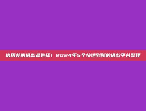 信用差的借款者选择！2024年5个快速到账的借款平台整理