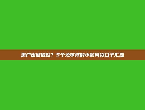 黑户也能借款？5个免审核的小额网贷口子汇总