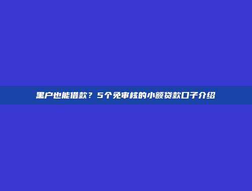 黑户也能借款？5个免审核的小额贷款口子介绍