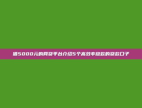 借5000元的网贷平台介绍5个高效率放款的贷款口子