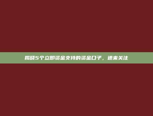 揭晓5个立即资金支持的资金口子，速来关注