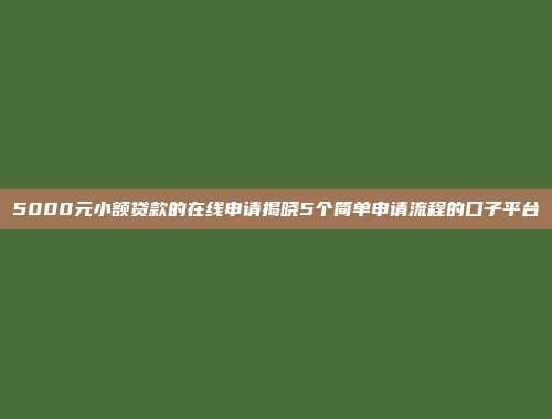 5000元小额贷款的在线申请揭晓5个简单申请流程的口子平台