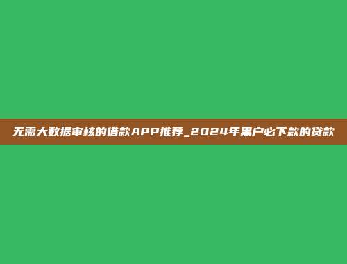 无需大数据审核的借款APP推荐_2024年黑户必下款的贷款