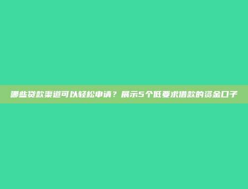 哪些贷款渠道可以轻松申请？展示5个低要求借款的资金口子