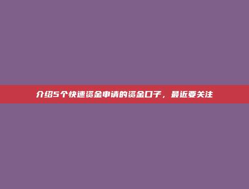 介绍5个快速资金申请的资金口子，最近要关注