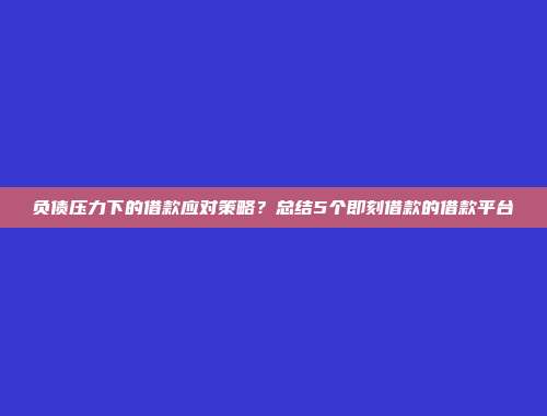 负债压力下的借款应对策略？总结5个即刻借款的借款平台