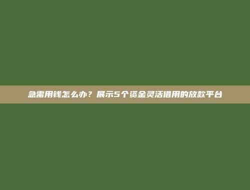 急需用钱怎么办？展示5个资金灵活借用的放款平台