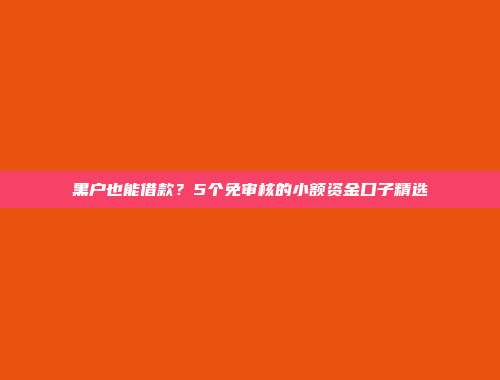 黑户也能借款？5个免审核的小额资金口子精选