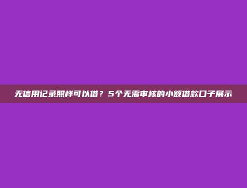 无信用记录照样可以借？5个无需审核的小额借款口子展示