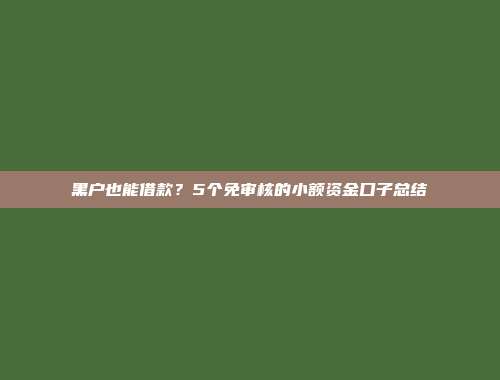 黑户也能借款？5个免审核的小额资金口子总结