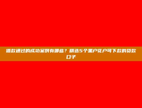 借款通过的成功案例有哪些？精选5个黑户花户可下款的贷款口子