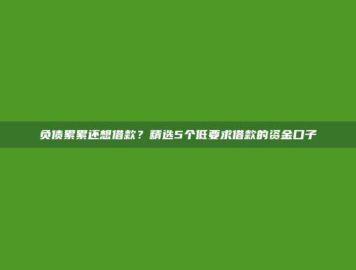 负债累累还想借款？精选5个低要求借款的资金口子