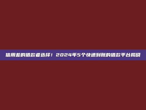 信用差的借款者选择！2024年5个快速到账的借款平台揭晓