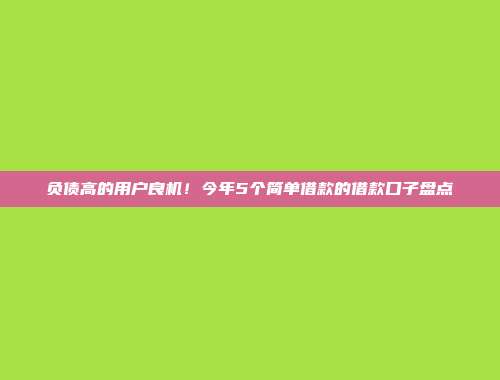 负债高的用户良机！今年5个简单借款的借款口子盘点